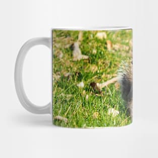 A Squirrel Crossing Its Arms Mug